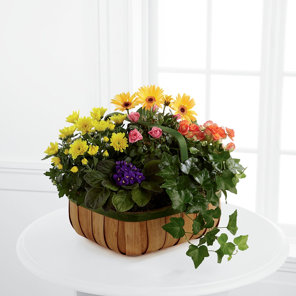 Gentle Blossoms Basket – Flowersonsunday.com, Tontitown AR