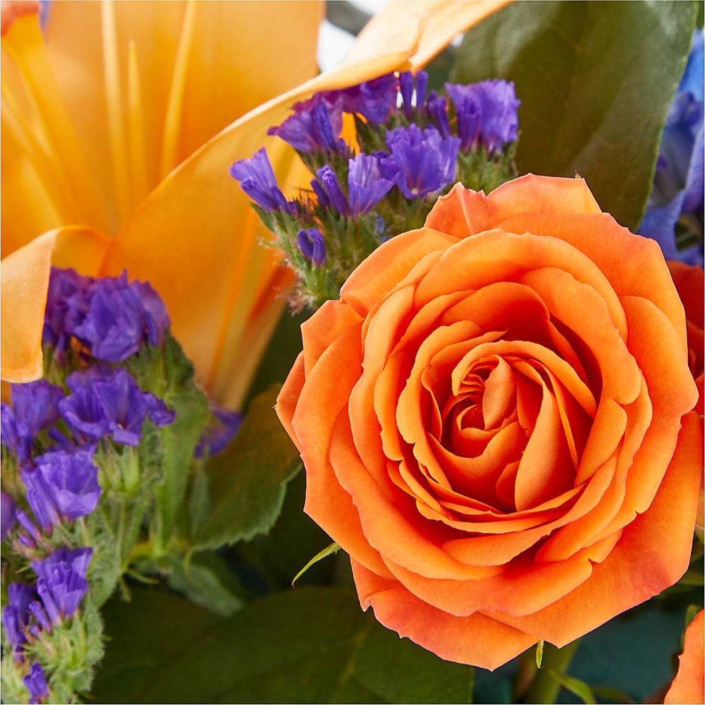 Radiant Citrus Box Bouquet – Flowersonsunday.com, Tontitown AR