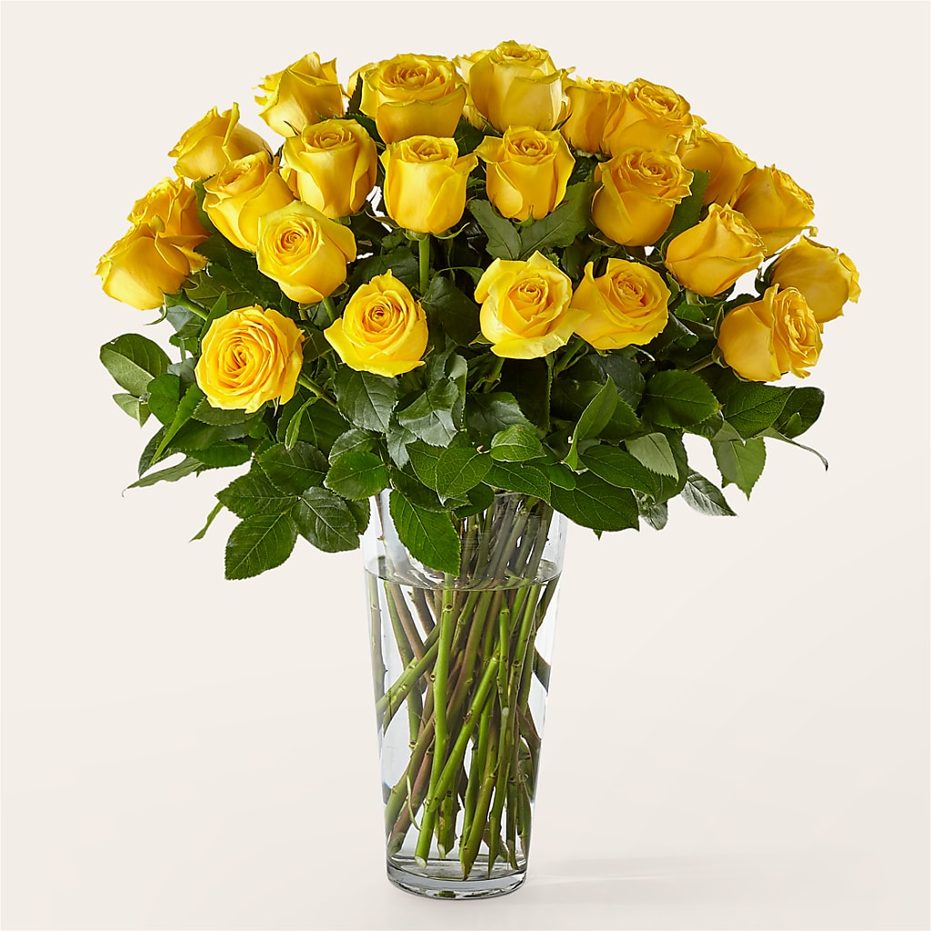 Long Stem Yellow Rose Bouquet – Flowersonsunday.com, Tontitown AR