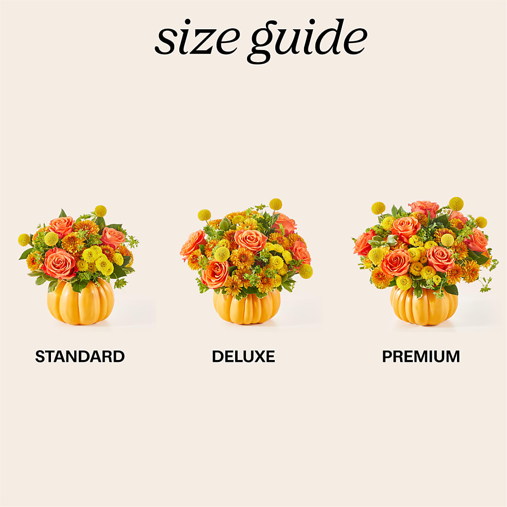 Gourdgeous Pumpkin – Flowersonsunday.com, Tontitown AR