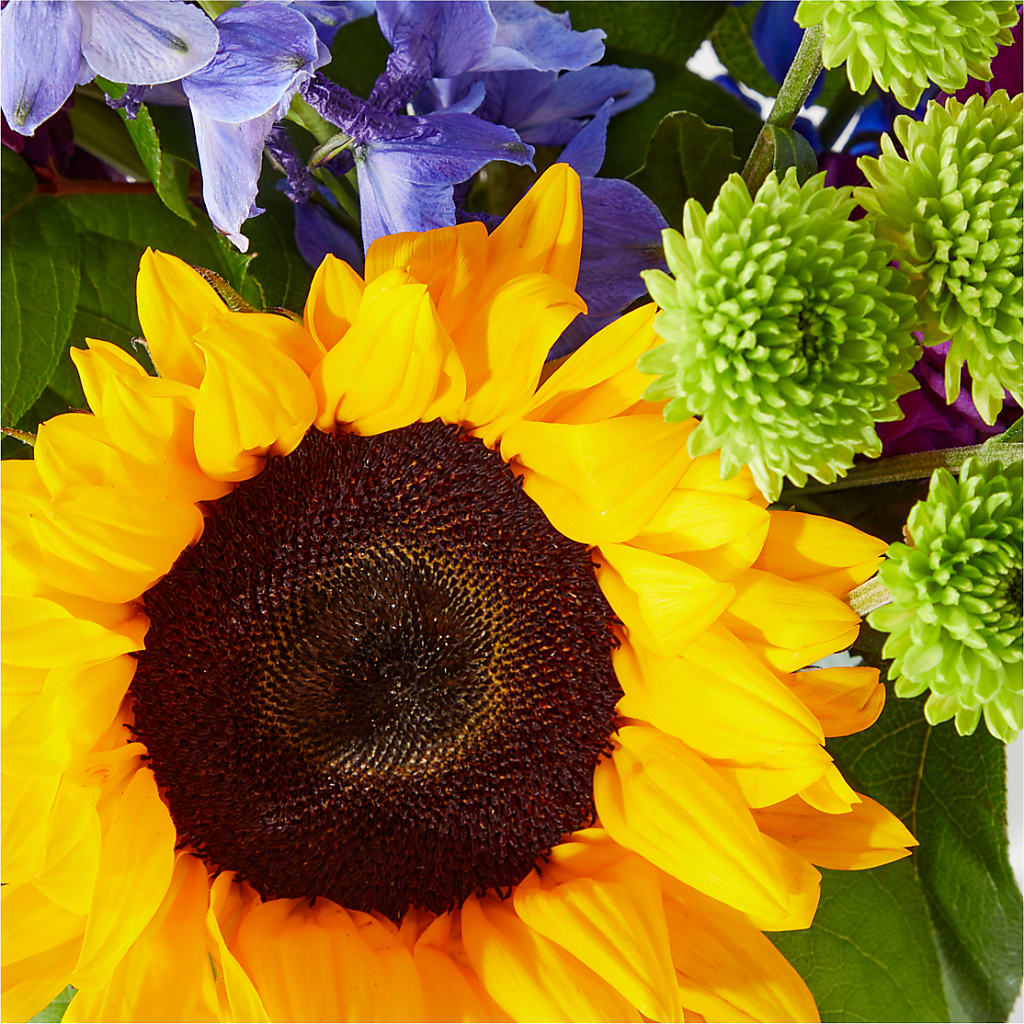 Catching Rays Bouquet – Flowersonsunday.com, Tontitown AR