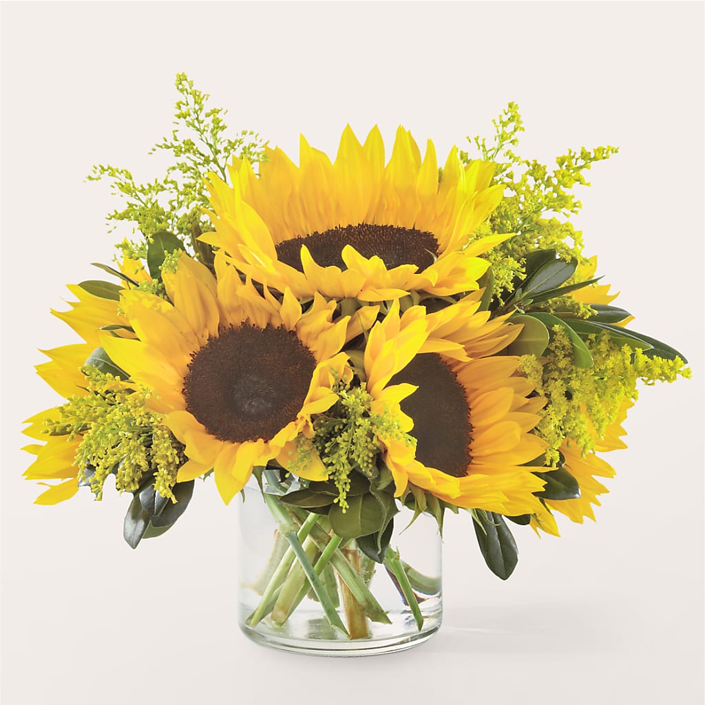 Beaming Sunflower Bouquet – Flowersonsunday.com, Tontitown AR