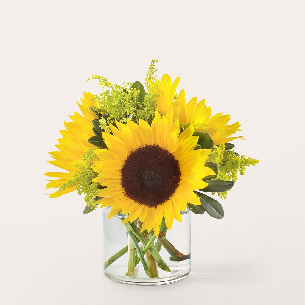 Beaming Sunflower Bouquet – Flowersonsunday.com, Tontitown AR