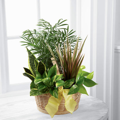 French Garden –  Flowersonsunday.com, Tontitown AR