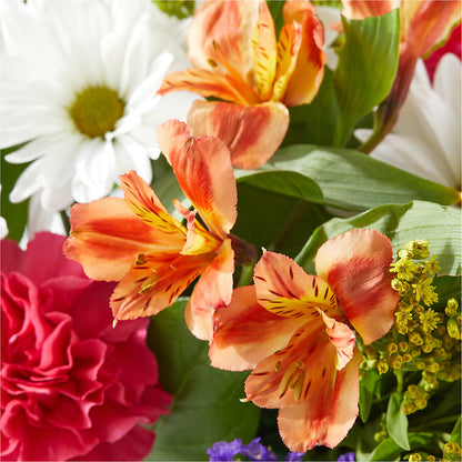 Oopsie Daisy Box Bouquet –  Flowersonsunday.com, Tontitown AR