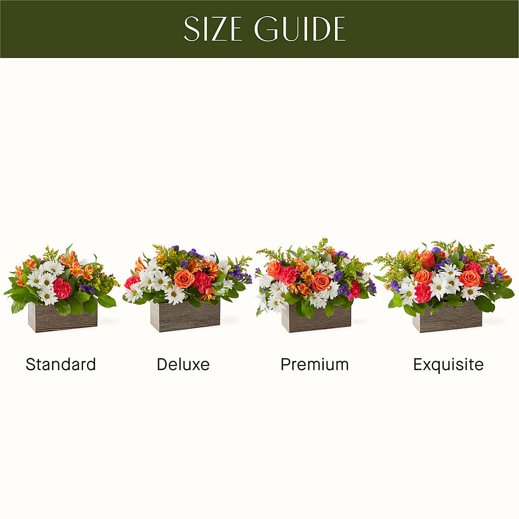 Oopsie Daisy Box Bouquet –  Flowersonsunday.com, Tontitown AR