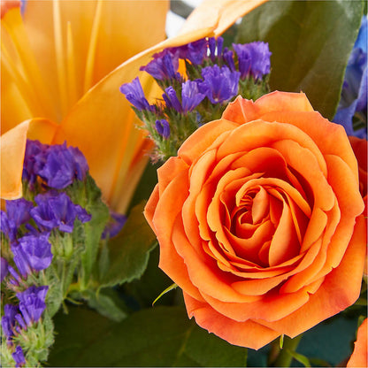 Radiant Citrus Box Bouquet –  Flowersonsunday.com, Tontitown AR