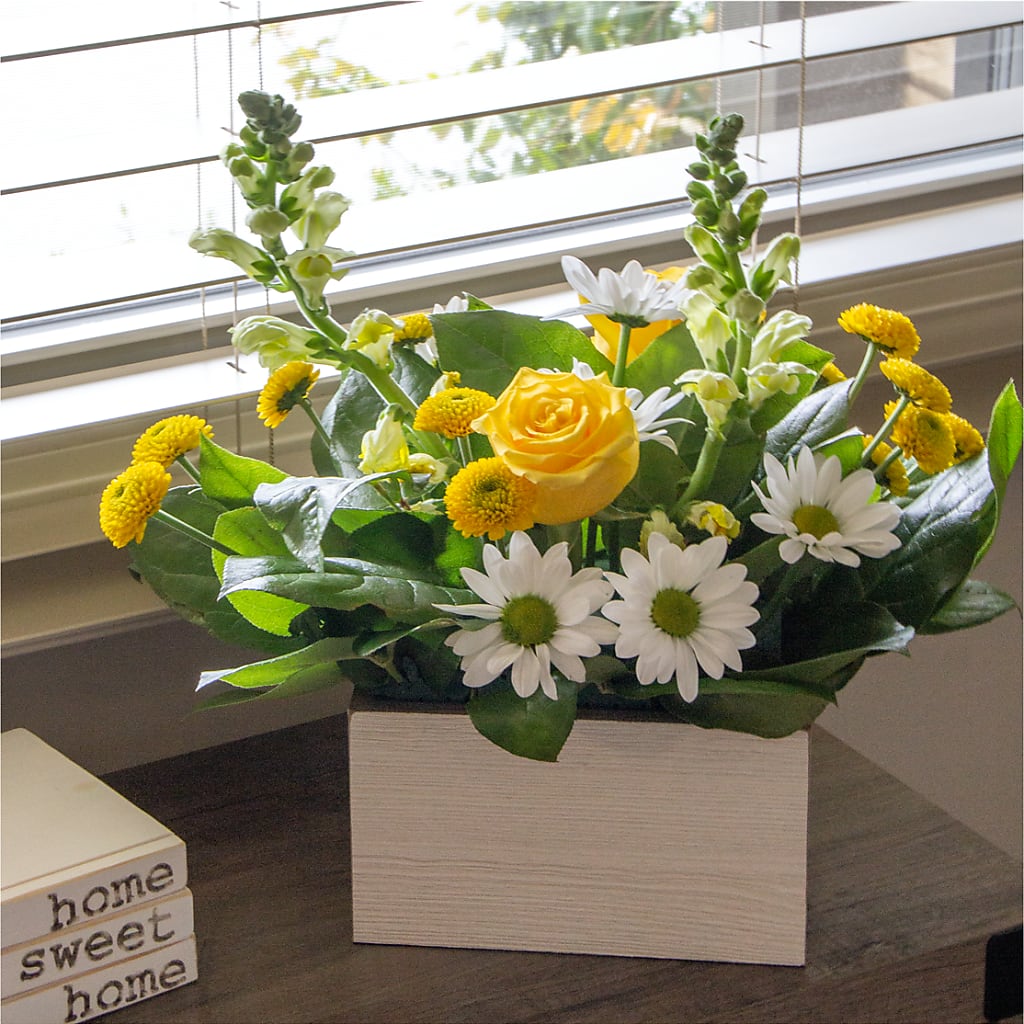 Sun Salutation Box Bouquet –  Flowersonsunday.com, Tontitown AR