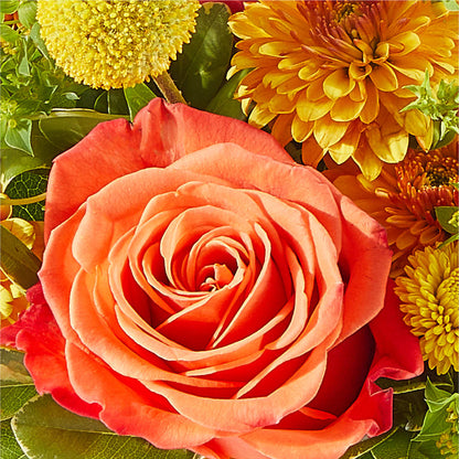 Gourdgeous Pumpkin –  Flowersonsunday.com, Tontitown AR