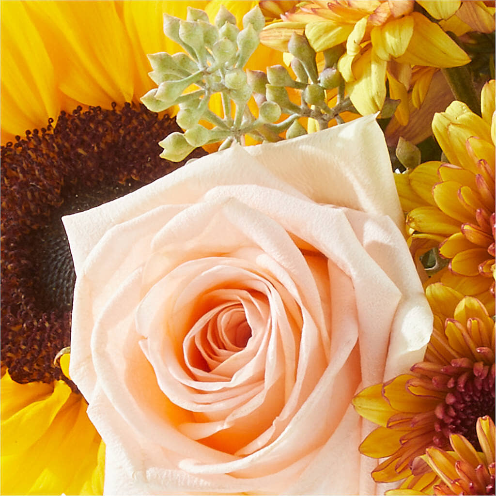 Pumpkin to Talk About Bouquet –  Flowersonsunday.com, Tontitown AR