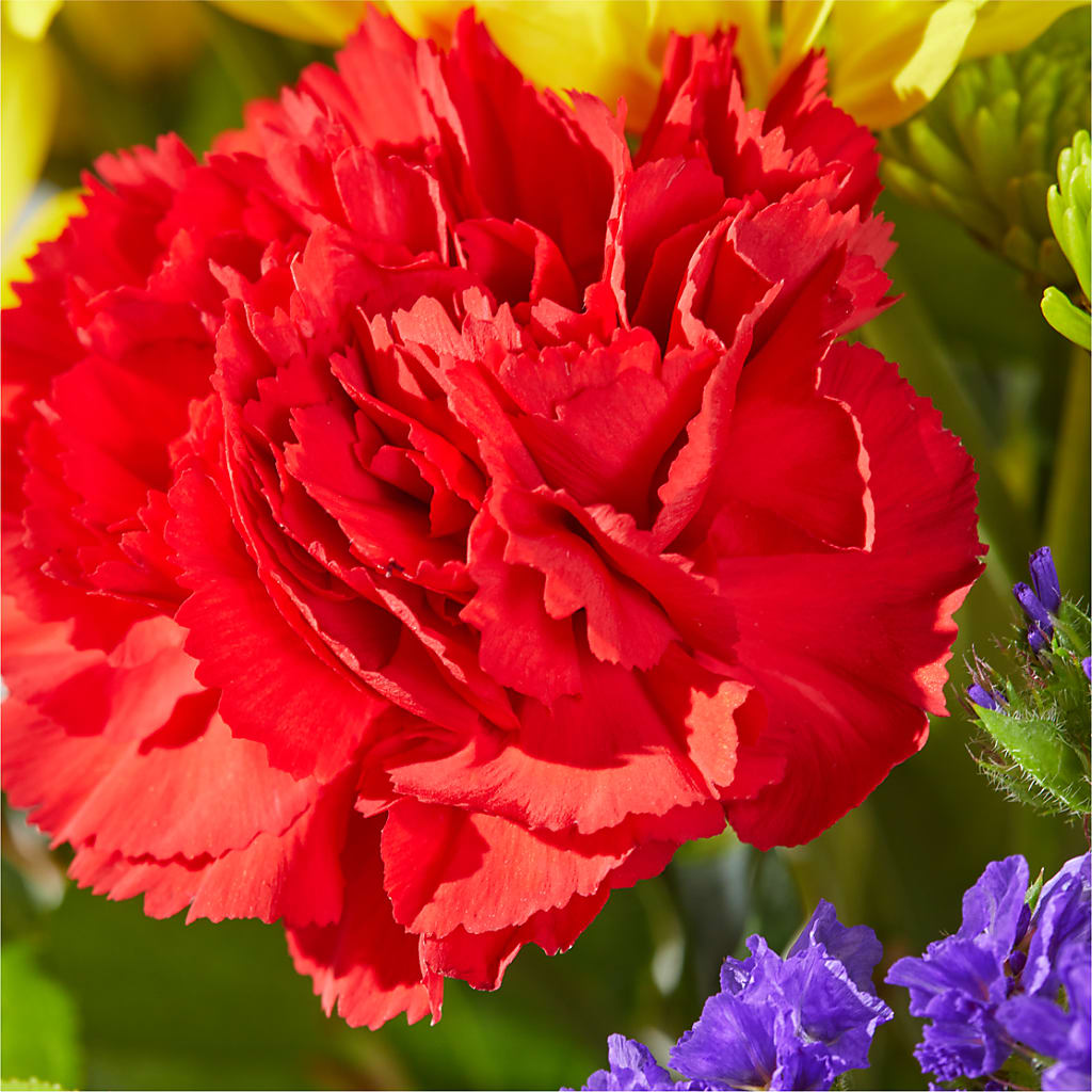 Brighter Days Bouquet –  Flowersonsunday.com, Tontitown AR