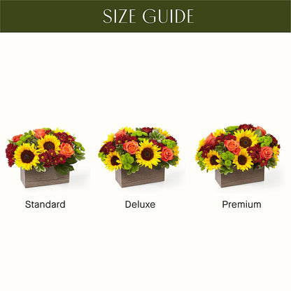 Happy Harvest Garden –  Flowersonsunday.com, Tontitown AR