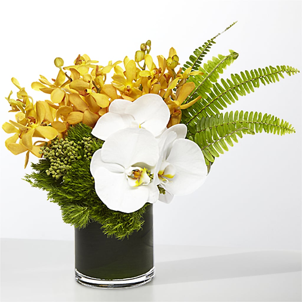 The Tropics –  Flowersonsunday.com, Tontitown AR