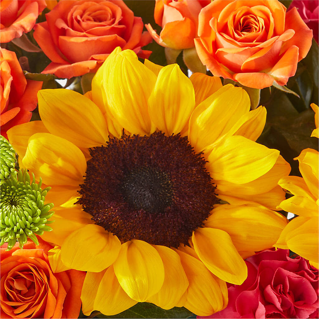 Sun-drenched Blooms Box Bouquet –  Flowersonsunday.com, Tontitown AR