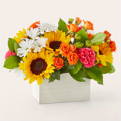 Sun-drenched Blooms Box Bouquet –  Flowersonsunday.com, Tontitown AR