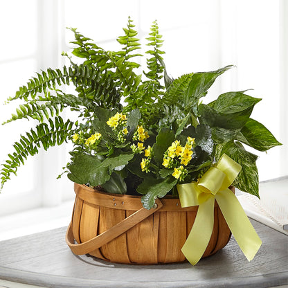 Always Dear Dishgarden –  Flowersonsunday.com, Tontitown AR