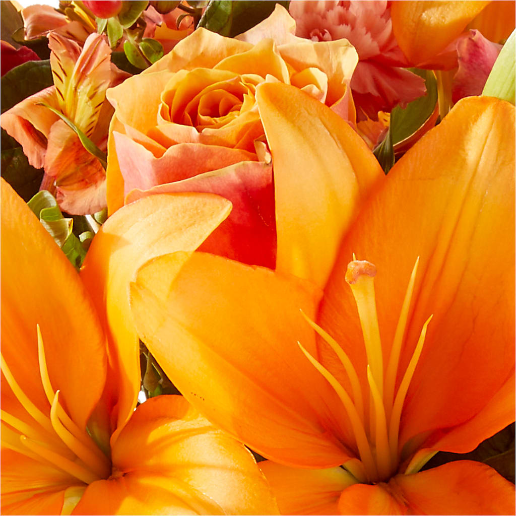 Afternoon Light Bouquet –  Flowersonsunday.com, Tontitown AR
