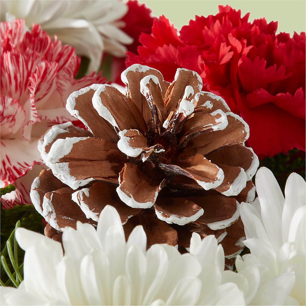 Candy Cane Lane Bouquet –  Flowersonsunday.com, Tontitown AR