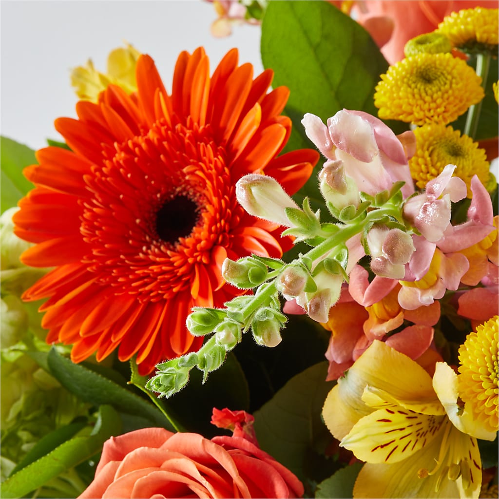 Autumn Sunshine Bouquet –  Flowersonsunday.com, Tontitown AR