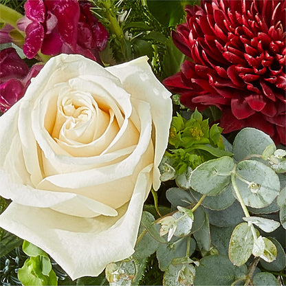 Cranberry Fizz Bouquet –  Flowersonsunday.com, Tontitown AR