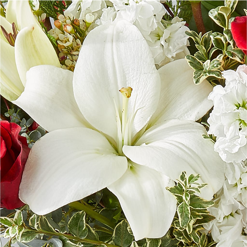 Twinkle Lights Bouquet –  Flowersonsunday.com, Tontitown AR