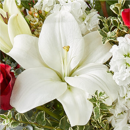 Twinkle Lights Bouquet –  Flowersonsunday.com, Tontitown AR