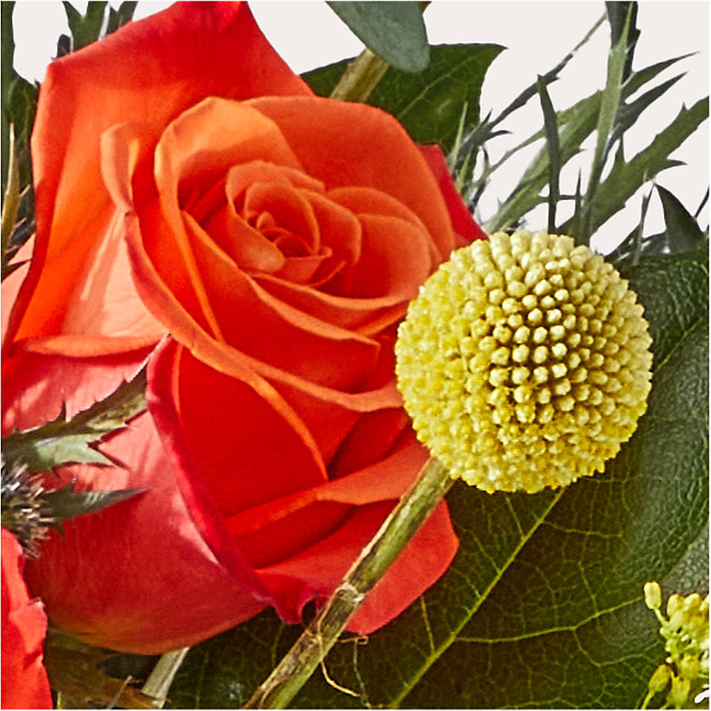 Disco Bouquet –  Flowersonsunday.com, Tontitown AR