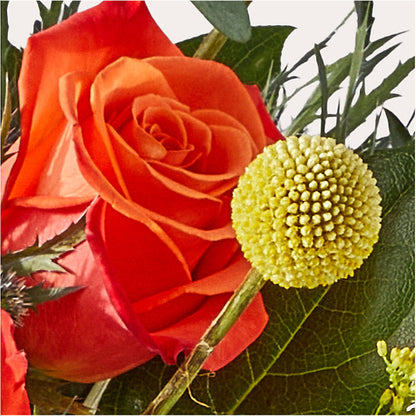 Disco Bouquet –  Flowersonsunday.com, Tontitown AR