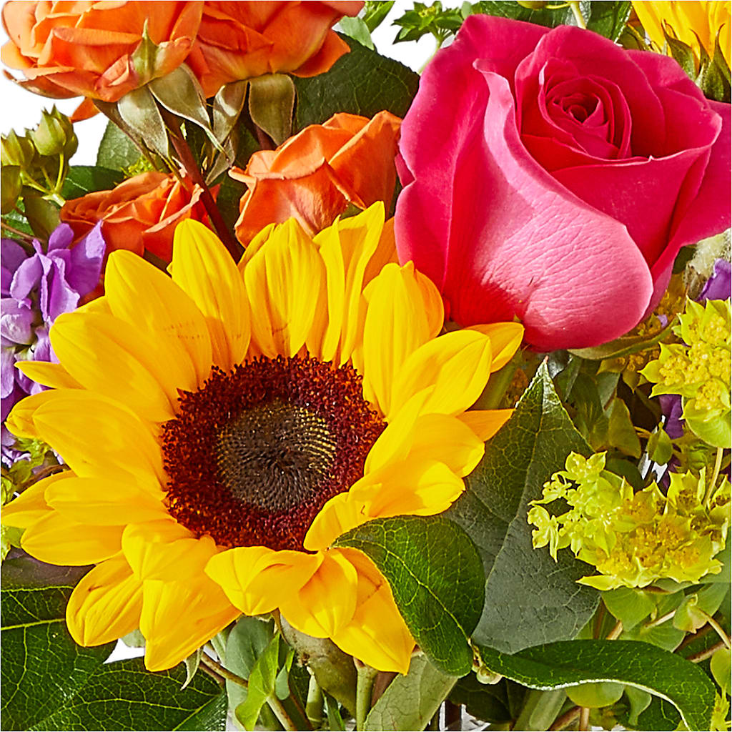 Vibrant Greetings Bouquet –  Flowersonsunday.com, Tontitown AR