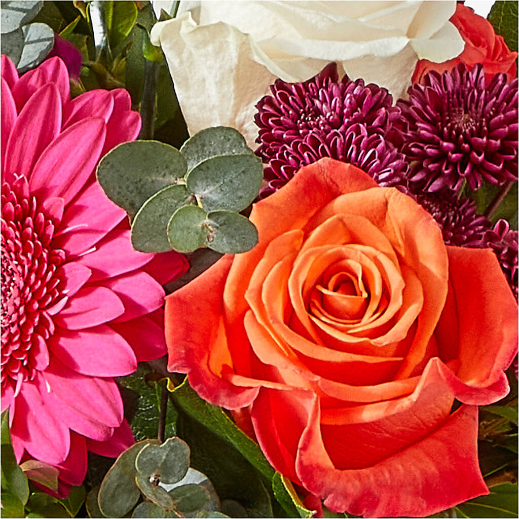 Smell the Roses Bouquet –  Flowersonsunday.com, Tontitown AR
