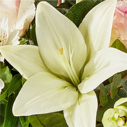 Ballet Slippers Bouquet –  Flowersonsunday.com, Tontitown AR