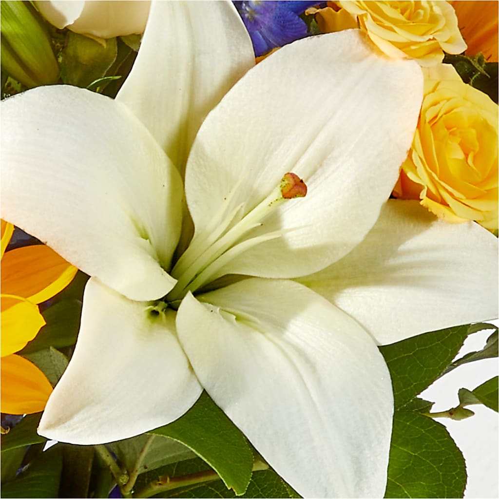 Wonderfully Sunny Bouquet –  Flowersonsunday.com, Tontitown AR