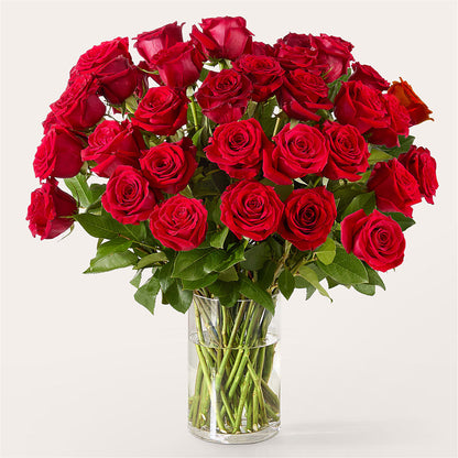 The One Red Rose Bouquet –  Flowersonsunday.com, Tontitown AR