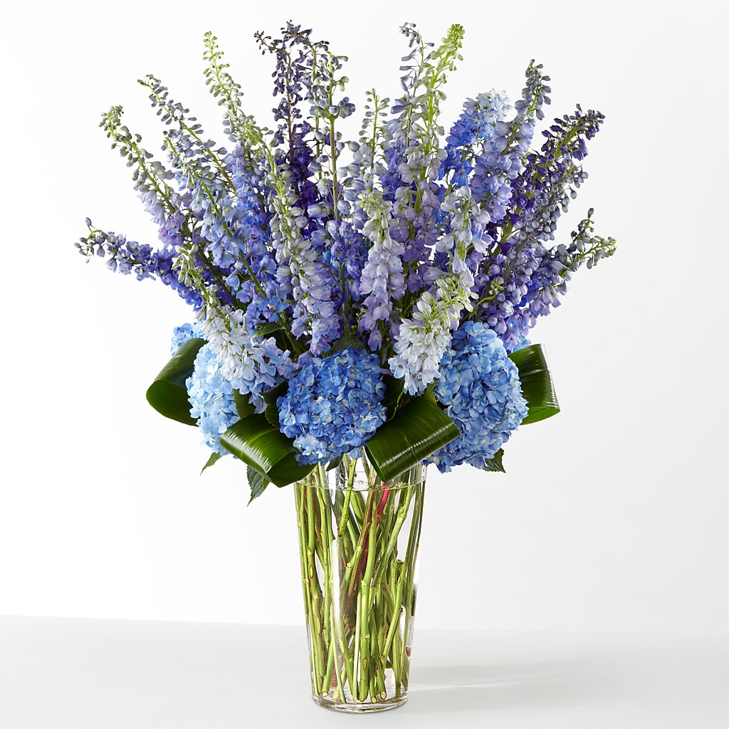 The Editorial –  Flowersonsunday.com, Tontitown AR