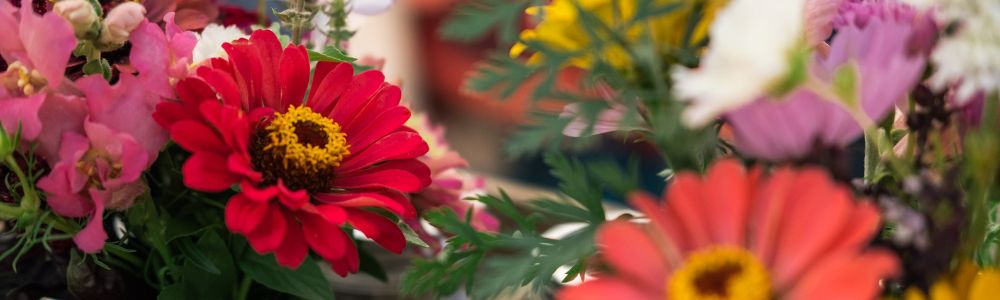 flowerDeliveriesOnSunday_Image_1770930258658.jpeg